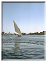 9990 Egypte-Assouan-Felouque évoluant sur le Nil.jpg