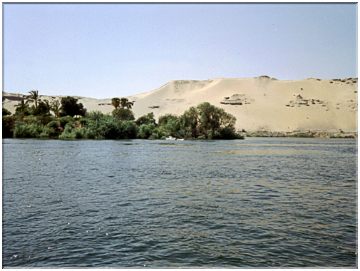 9991 Egypte-Assouan-L'île Kitchener.jpg