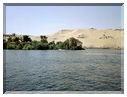 9991 Egypte-Assouan-L'île Kitchener.jpg